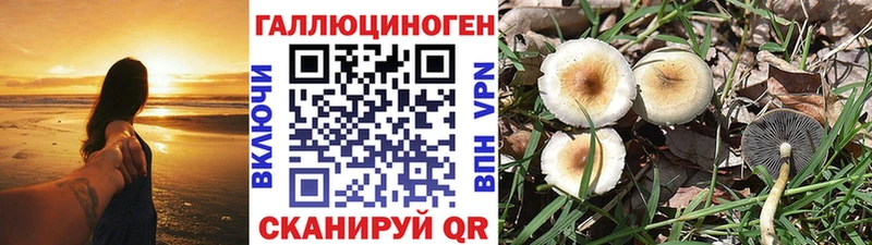 Псилоцибиновые грибы Psilocybine cubensis  кракен сайт  Лаишево 